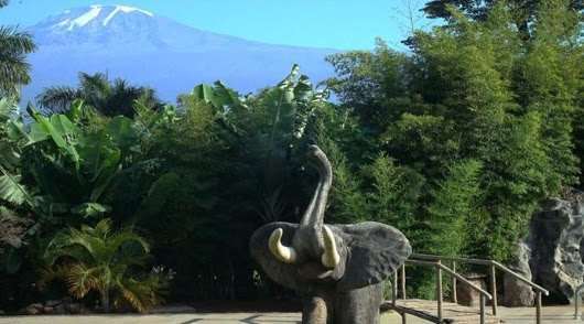 Kilemakyaro Mountain Lodge Moshi Exterior foto